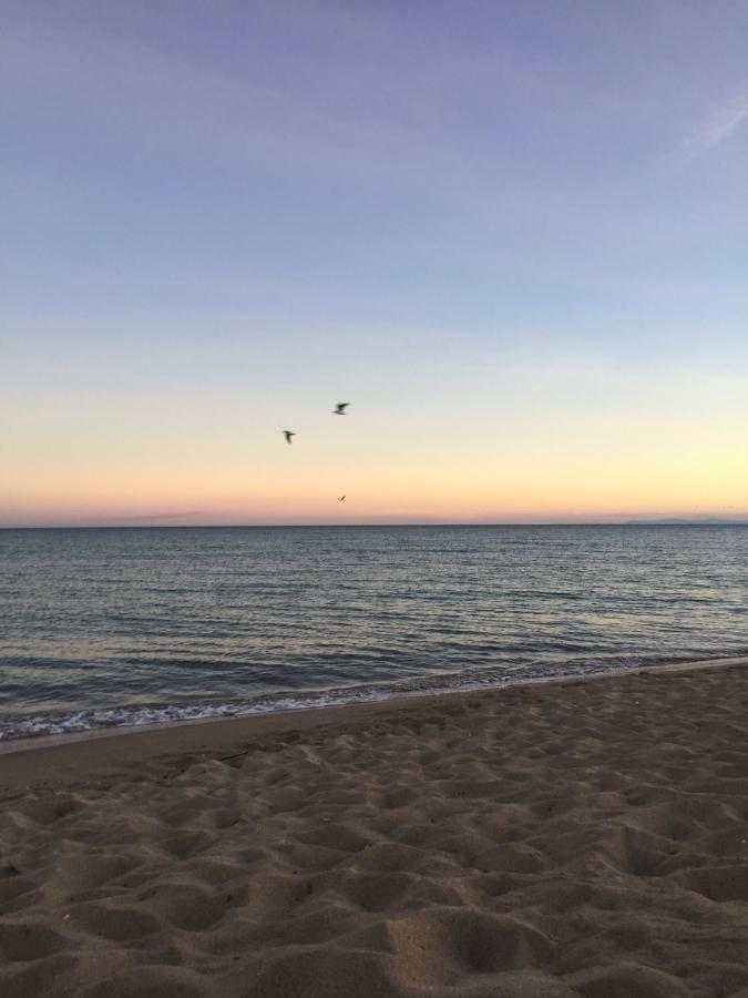 Jm Vacances Serignan Bagian luar foto